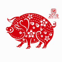 Notice of Nanjing Haisi 2019 Spring Festival Holiday Arrangement