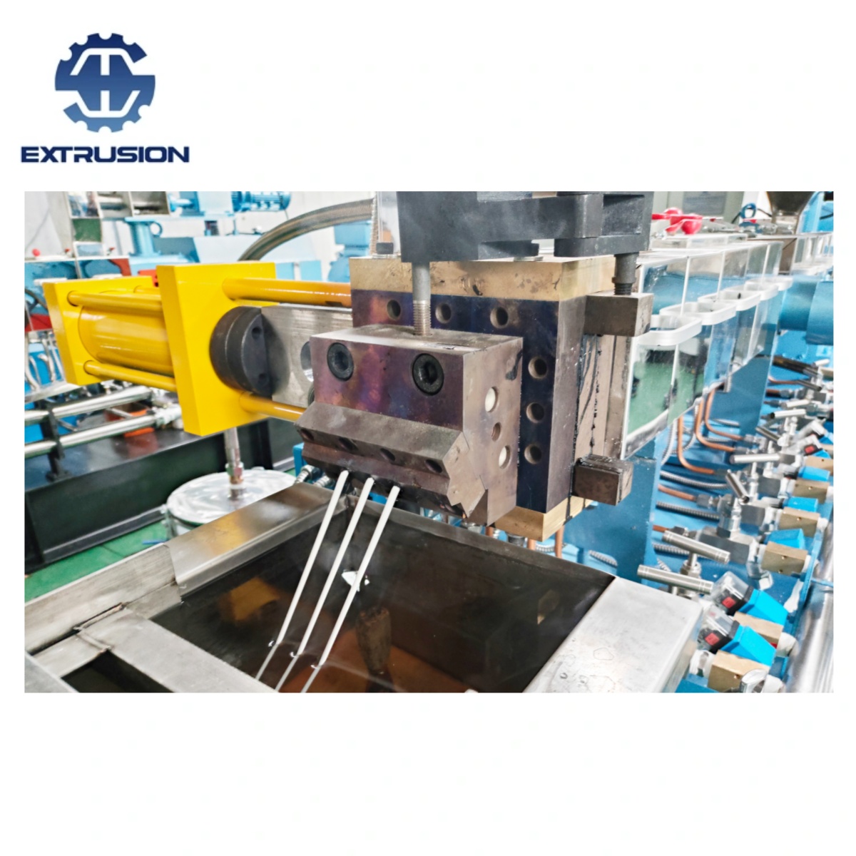TSE 30 Lab And Teaching Twin Screw Extruder 1 To 30kg Output with Side Feeder